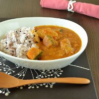 すりおろし野菜のチキンカレー